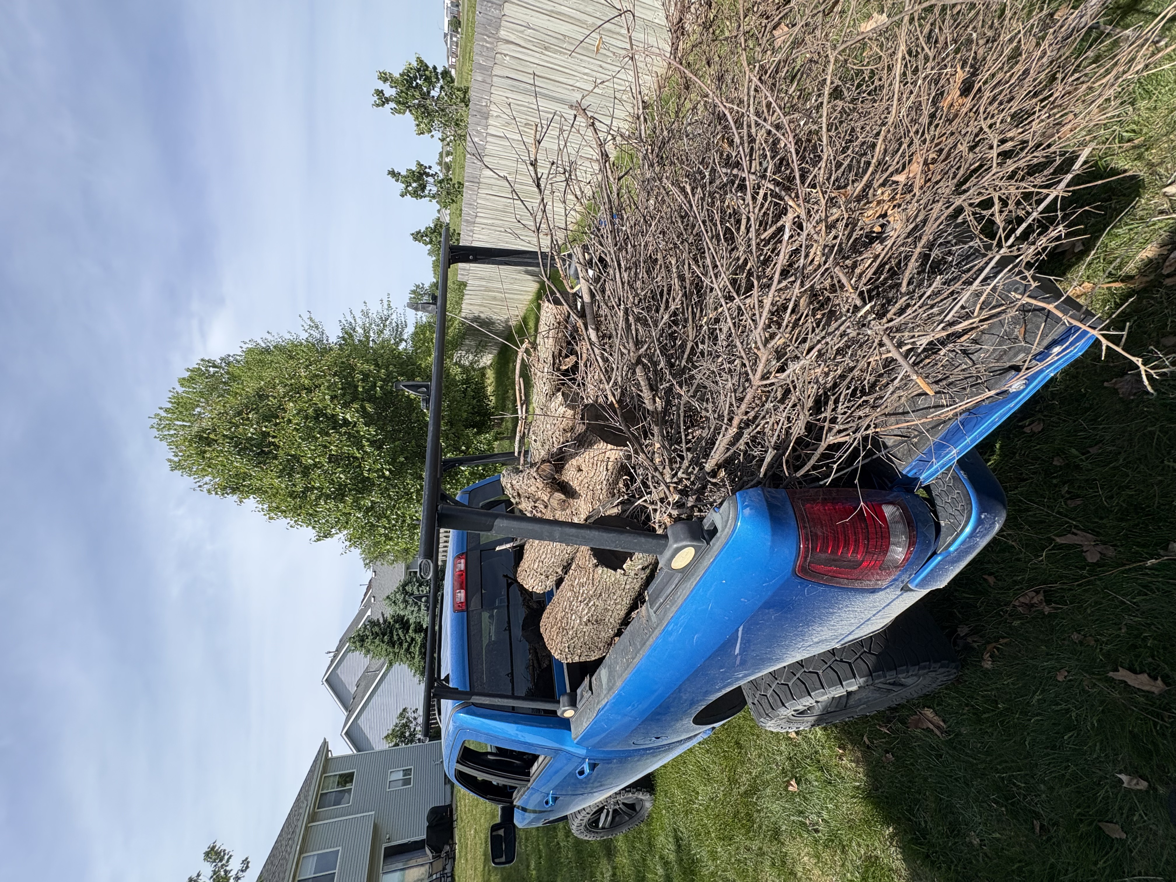Brush Removal Before